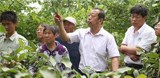 LOCAL201606132028353650401273171